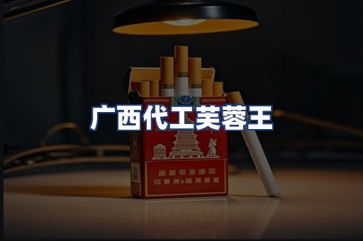 广西代工芙蓉王